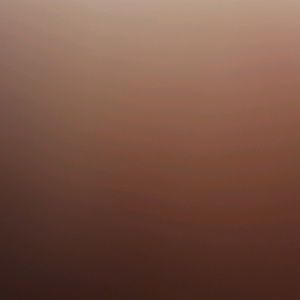 Meet your Posher, Jan